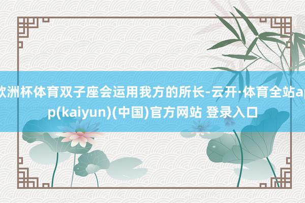 欧洲杯体育双子座会运用我方的所长-云开·体育全站app(kaiyun)(中国)官方网站 登录入口